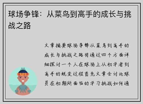 球场争锋：从菜鸟到高手的成长与挑战之路